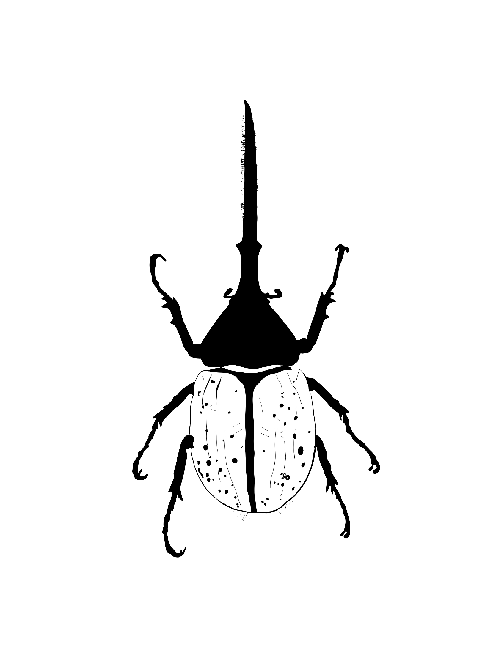 unicorn beetle sketch